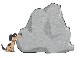Task 3. Look and write.       	  It’s a _________ dog. (ảnh 1)