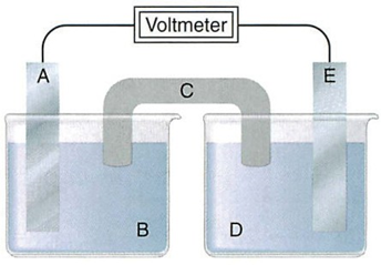 Xét pin Galvani tạo bởi hai điện cực kim loại:     a. A là anode, E là cathode, C là cầu muối. (ảnh 1)