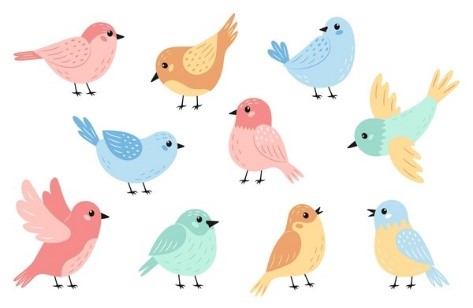 Task 4. Look and write.        	  What _______________?  They’re birds. (ảnh 1)