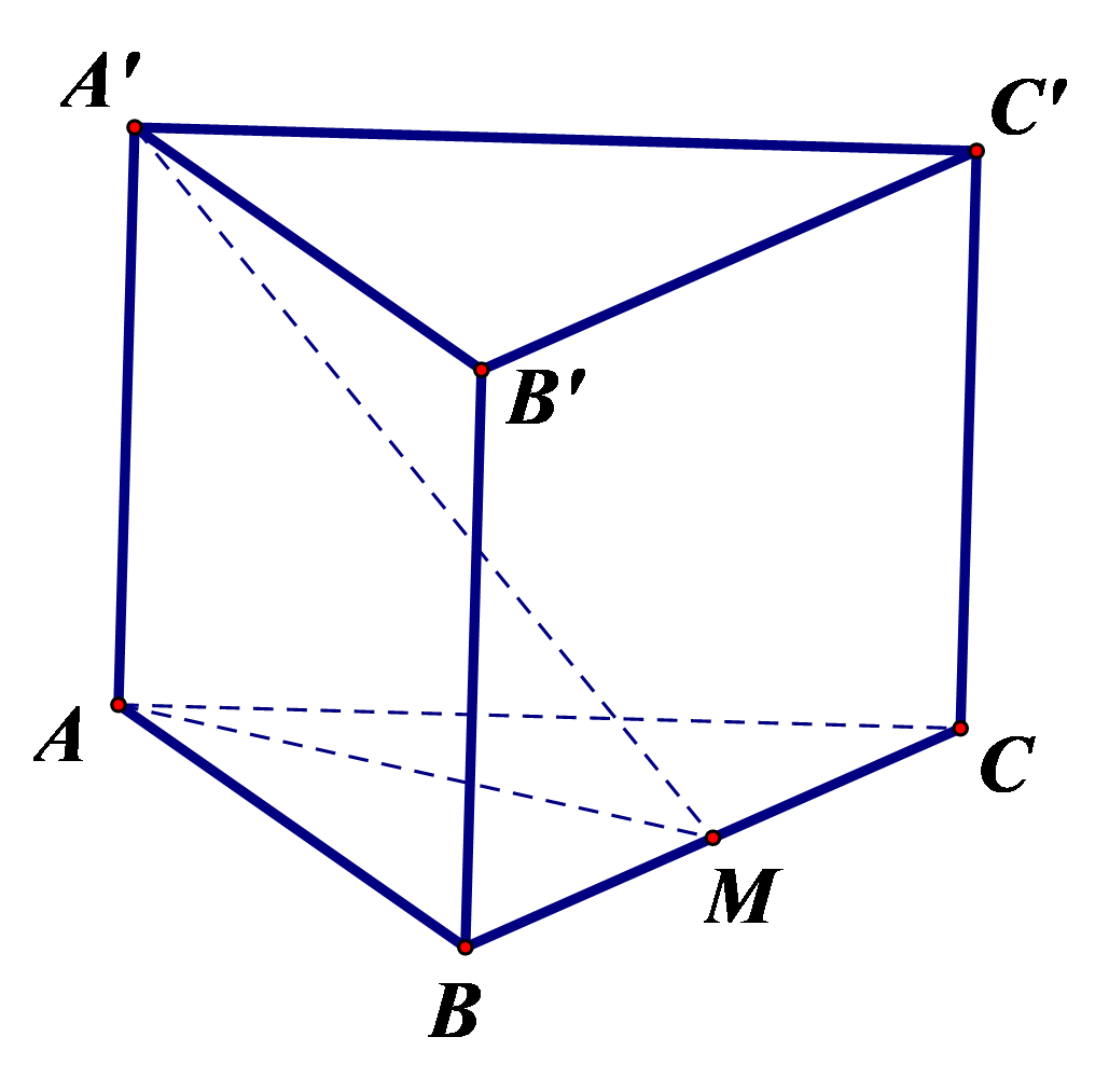 Cho hình  lăng trụ tam giác đều ABC.A'B'C' có \[AB = a\] và \[AA' = a\sqrt 2 \]. Các mệnh đề dưới đây đúng hay sai? (ảnh 1)