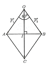 Cho hai lực \({\vec F_1},\overrightarrow {{F_2}} \) có điểm đặt \(O\) tạo với nhau góc \({60^^\circ }\), biết rằng cường độ của hai lực \({\vec F_1}\) và \({\vec F_2}\) đều bằng \(100\;N\). Tính cường độ tổng hợp của hai lực trên? (ảnh 1)