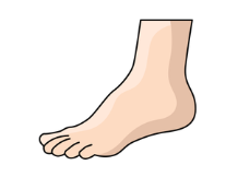 Look and choose the correct answer.    A. face B. hair C. foot (ảnh 1)