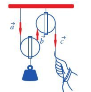 \(\overrightarrow c \) và \(\overrightarrow b \) là hai vectơ ngược hướng. Chọn B. (ảnh 1)