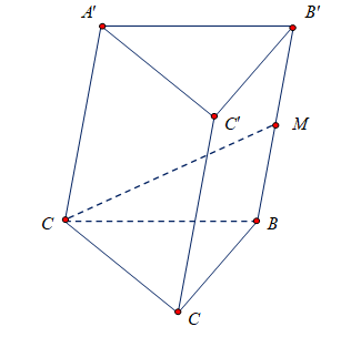 Chọn C  Ta có: \[\overrightarrow {A (ảnh 1)