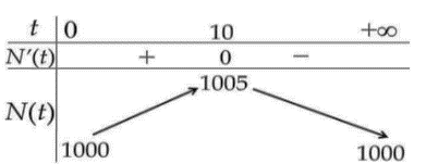 Trong một thí nghiệm y học, người ta cấy 1000 vi kh (ảnh 1)