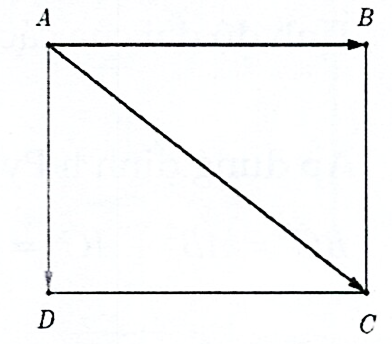 Cho hình chữ nhật ABCD. Có bao nhiêu vectơ được tạo thành mà điểm đầu và điểm cuối lấy từ các đỉnh của hình chữ nhật? (ảnh 1)