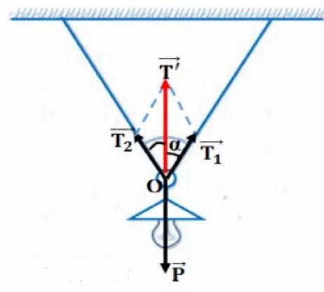 Người ta treo một bóng đèn có khối lượng \(m = 1 (ảnh 2)