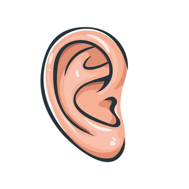 Read and choose the correct answer. “head”  (ảnh 3)