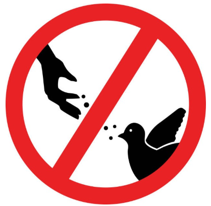 What does this sign mean? (ảnh 1)