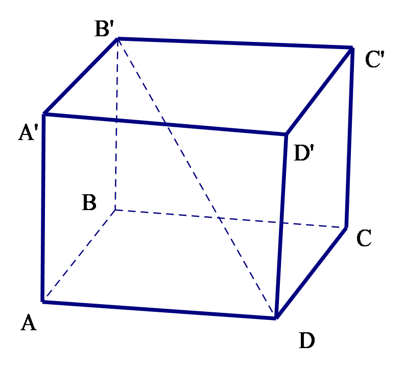 Cho hình hộp \(ABCD.\,A'B'C'D'\). Chọn đẳng thức vectơ đúng: (ảnh 1)
