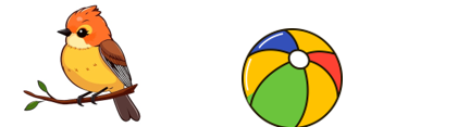 Read and choose the correct answer. “a ball and a bike” (ảnh 2)