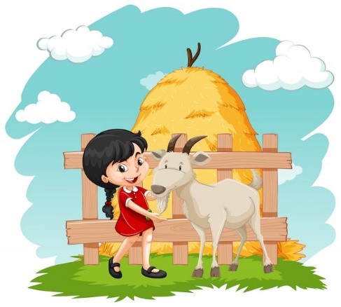 Read and choose the correct answer. “a goat and a girl” (ảnh 1)