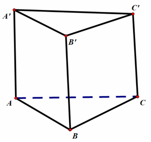 Trong không gian  \(Oxyz\) cho lăng trụ tam giác\(ABC.A'B'C'\) có đỉnh \(A\left( {1; - 2;3} \right),B\left( { - 2;0;1} \right),A'\left( {3;2;2} \right)\) và \(C' (ảnh 1)