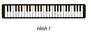 Tần số của ba phím liên tiếp Sol, La, Si trên một cây đàn organ tạo thành cấp số nhân. (ảnh 1)