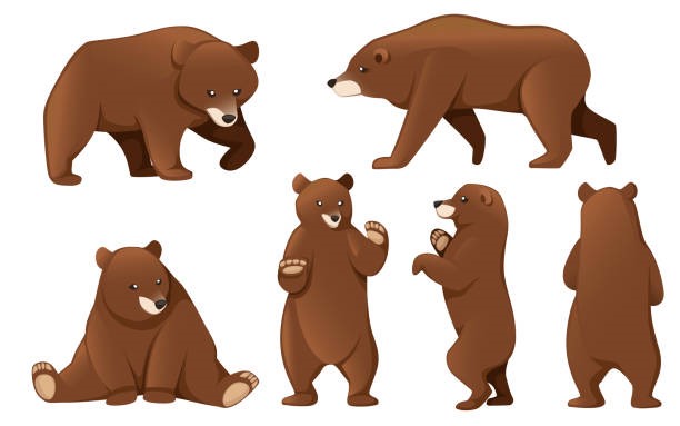 What are they? A. They’re bears. B. They’re bear. C. It’s a bear. (ảnh 1)
