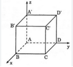 Trong không gian \(Oxyz\), cho hình lập phương \(ABCD.A'B'C'D'\) có \(A\left( {0;0;0} \right),B\left( {2;0;0} \right);D\left( {0;2;0} \right);A'\left( {0;0;2} \right)\). Tìm tọa độ điểm \(C'\)   (ảnh 1)