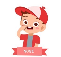 This is my _______. A. a nose B. noses C. nose (ảnh 1)