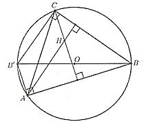 Cho \(\Delta ABC\) có trực tâm \(H\) và \(O\) là tâm đường tròn ngoại tiếp tam giác. Gọi \({B^\prime }\) là điểm đối xứng của \(B\) qua \(O\). Khi đó:  a) \({B^\prime }C \bot BC\) (ảnh 1)