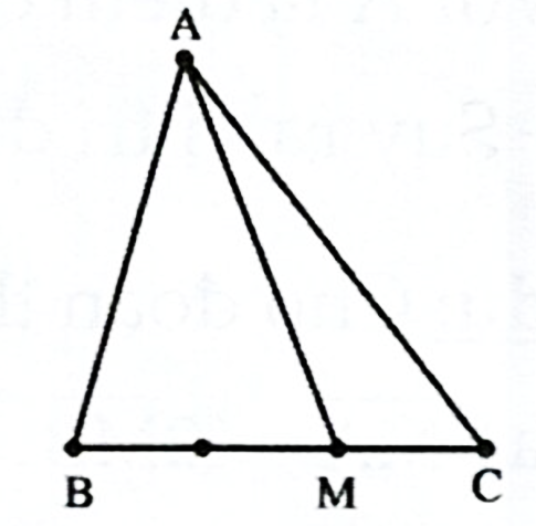 Cho \(\Delta ABC\). Gọi \(M\) là điểm thỏa \(\overrightarrow {MB} + 2\overrightarrow {MC} = \vec 0\). Phân tích \(\overrightarrow {AM} \) theo \(\overrightarrow {AB} \) và \(\overrightarrow {AC} \). (ảnh 1)