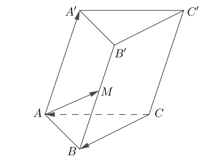 Chọn A Ta có \(\overrightarrow {AM}  = \o (ảnh 1)
