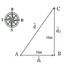 Một người lái ô tô đi thẳng  (ảnh 1)