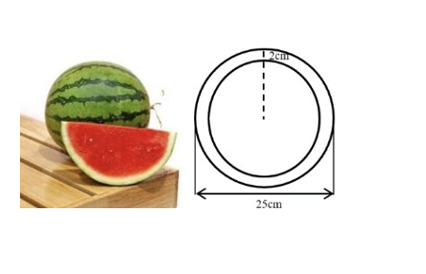 Một quả dưa hấu không hạt ruột đỏ dạng hình cầu có đường kính 25cm và phần vỏ dày 2 cm] (ảnh 1)