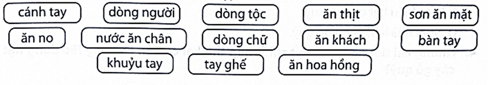 Xếp các từ ngữ vào nhóm thích hợp. (ảnh 1)