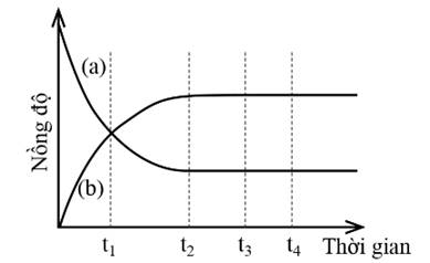 A graph of a function

Description automatically generated