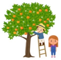 Nga và Nam giúp mẹ hái cam ở trong vườn. Nga hái được 36 quả, Nam hái được nhiều hơn Nga 12 quả. Hỏi cả hai chị em hái được bao nhiêu quả cam?  (ảnh 1)