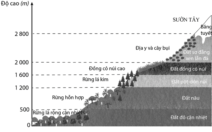 . Cho hình ảnh sau: (ảnh 1)