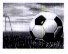 Quả bóng đá thường được sử dụng trong các trận thi đấu dành cho trẻ em từ 6 tuổi đến 8 tuổi (ảnh 1)