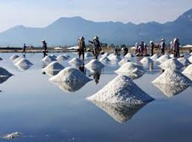 Cánh đồng muối Sa Huỳnh trải dài trên bờ biển Đức Phổ (hình bên) không chỉ là nơi sản xuất và cung cấp (ảnh 1)