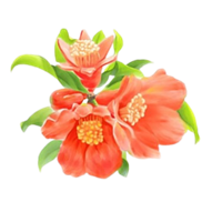 A close-up of flowers

AI-generated content may be incorrect.