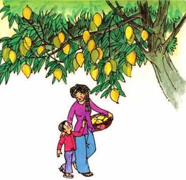 Lý thuyết tập đọc: cây xoài của ông em tiếng việt 2