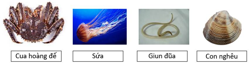 A close-up of a rubber ring

AI-generated content may be incorrect.