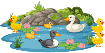 Số con vịt còn lại dưới nước là: (ảnh 1)