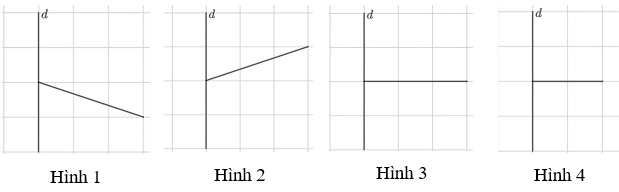 Cho hình vẽ:  Hình vẽ thêm là hình nào dưới đây để thu được một hình có d là trục đối xứng?          A. Hình 1.              B. Hình 2.              C. Hình 3.              D. Hình 4. (ảnh 2)