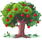 Cây táo có 36 quả táo, mẹ đã hái xuống 1/3 số quả táo đó. Hỏi mẹ đã hái bao nhiêu quả táo? (ảnh 1)