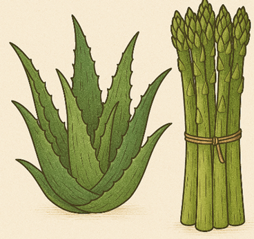 Hỏi số tiền người nông dân thu được nhiều nhất là bao nhiêu triệu đồng, biết rằng tổng số công không vượt quá 150 công. (ảnh 1)