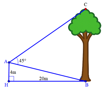 Tính chiều cao của cây đó (làm tròn kết quả đến hàng phần mười theo đơn vị mét). (ảnh 1)