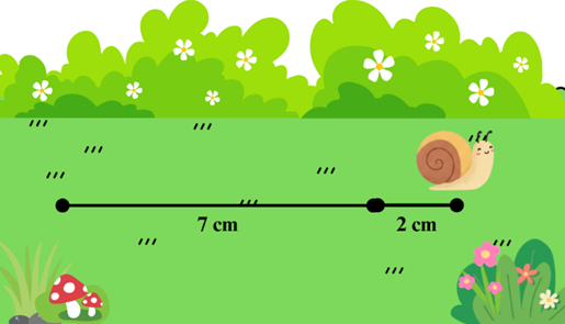 Một con ốc sên bò được quãng đường 7 cm thì dừng lại nghỉ. Sau đó, con ốc sên bò thêm 2 cm nữa. Vậy quãng đường mà con ốc sên đi được là: ….. + ….. = ….. (ảnh 1)