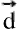 Title: straight d with rightwards arrow on top - Description: {"mathml":"<math style=\"\" xmlns=\"http://www.w3.org/1998/Math/MathML\"><mstyle mathsize=\"12px\"><mover><mi mathvariant=\"normal\">d</mi><mo>&#x2192;</mo></mover></mstyle></math>","origin":"MathType for Microsoft Add-in"}