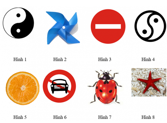 Cho các hình dưới đây:   	a) Hình 7 là hình có trục đối xứng. 	b) Hình 6 là hình không có tính đối xứng. 	c) Có 5 hình có trục đối xứng. 	d) Có 3 hình vừa có trục đối xứng vừa có tính đối xứng. (ảnh 1)