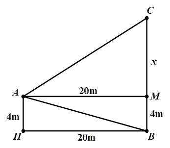 Từ vị trí A người ta quan sát một cây cao.  Biết AH = 4m, HB = 20m, BAC = 45 độ. Khi đó chiều cao của cây (làm tròn đến hàng phần mười) bằng (ảnh 2)