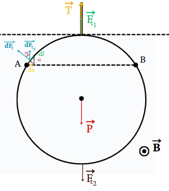Một khung dây tròn cứng có bán kính $R = 12\ \text{cm}$ được giữ trong từ trường đều có chiều vuông góc với mặt phẳng khung dây như hình vẽ, khung dây nằm trong mặt phẳng thẳng đứng so với mặt đất. (ảnh 1)
