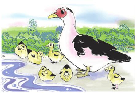 Tập làm văn: Luyện tập quan sát con vật - TRUNG TÂM GIA SƯ TÂM TÀI ĐỨC