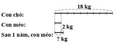 Một con chó nặng 18 kg. Con mèo nặng bằng số cân nặng của con chó giảm đi 9 lần. Sau một năm, con mèo tăng 2 kg, thì con mèo nặng bao nhiêu ki-lô-gam?  (ảnh 2)