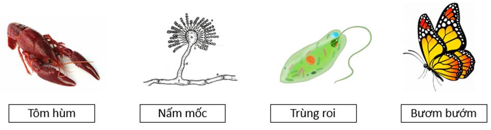 A close up of a plant

AI-generated content may be incorrect.