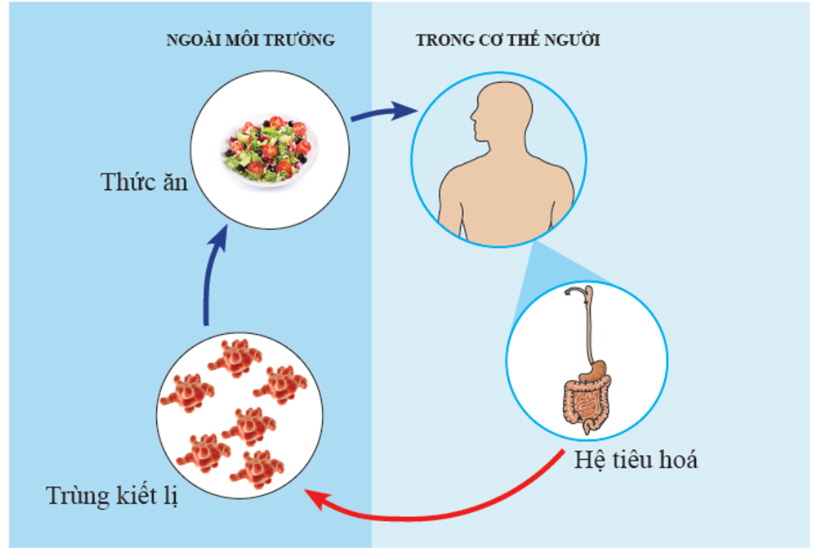A diagram of a person's body

AI-generated content may be incorrect.