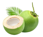 Buổi sáng, chị Hương bán được 14 quả dừa. Số quả dừa chị bán được trong buổi chiều gấp 3 lần buổi sáng. Hỏi buổi chiều chị Lan bán được nhiều hơn buổi sáng bao nhiêu quả dừa? (ảnh 1)